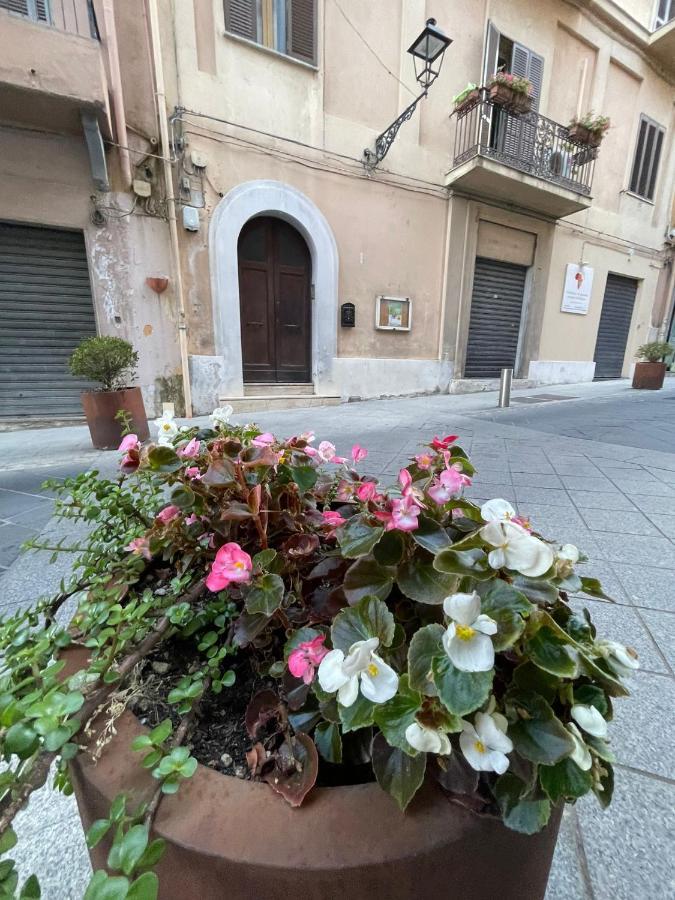 Sagittarius B&B Cetraro Bagian luar foto